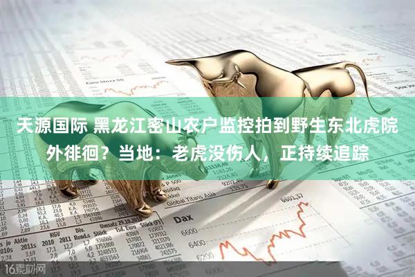 天源国际 黑龙江密山农户监控拍到野生东北虎院外徘徊？当地：老虎没伤人，正持续追踪